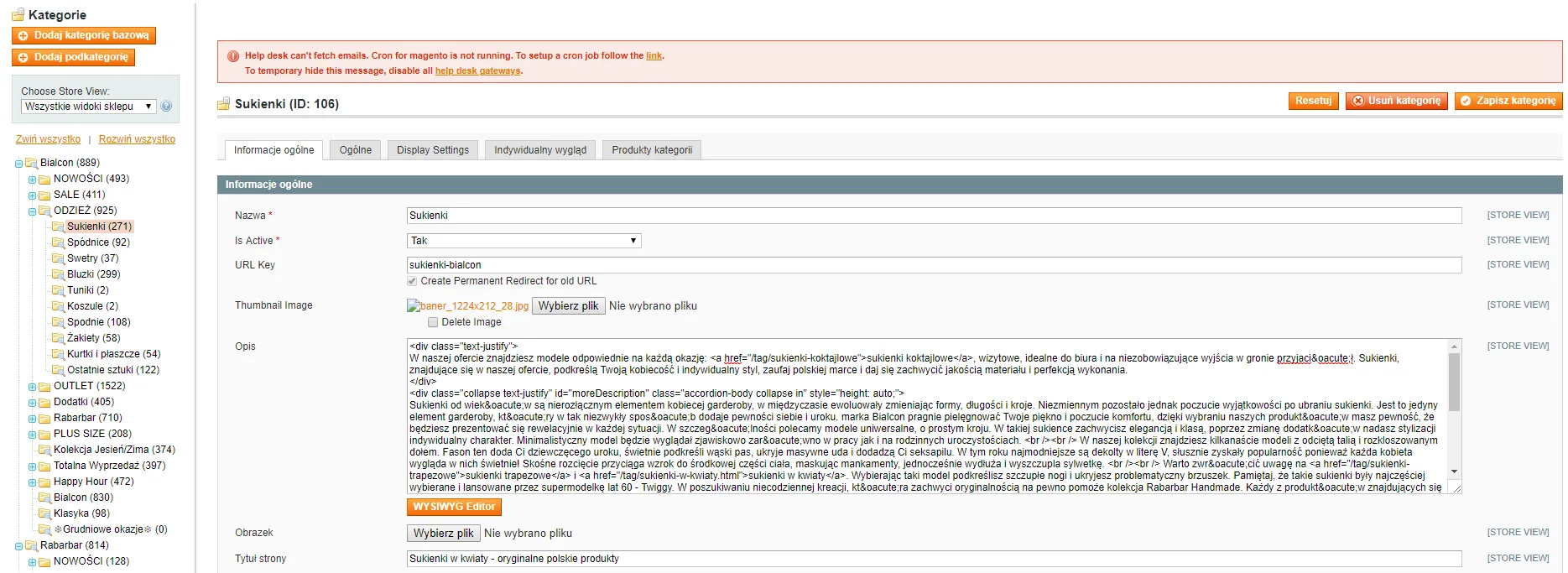opis kategorii magento