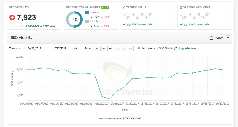 SEO Visibility